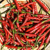 取立て・生唐辛子【赤唐辛子・羅辛ほか】300g(送料込み)