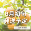 【予約商品】石川県産「加賀梨」サイズいろいろ！幸水,豊水