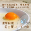 卵黄トロ～リ(^^)濃厚自慢‼　×40個・名古屋コーチンの箱売りたまご‼