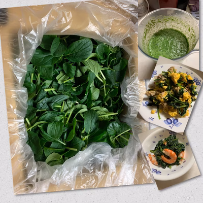 みんなの投稿の画像