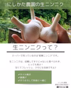 【送料一律】生ニンニクMサイズ 15個  期間/数量限定【レターパックプラス】