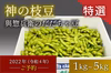 【特選】神の枝豆「だだちゃ豆」