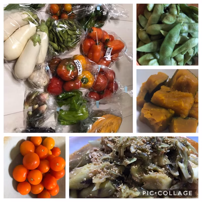 みんなの投稿の画像