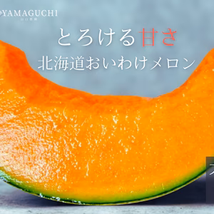 ギフトに大人気 【北海道メロン】 1玉入り　大玉　