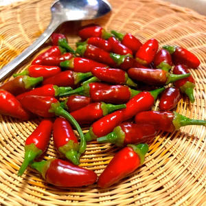 タイの小粒唐辛子！プリッキーヌ・オム（赤）