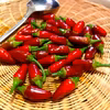 タイの小粒唐辛子！プリッキーヌ・オム（赤）