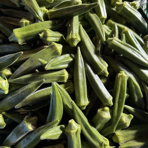 【朝採り当日発送】鹿児島県指宿産 新鮮オクラ｜シャキシャキ食感｜農家直送