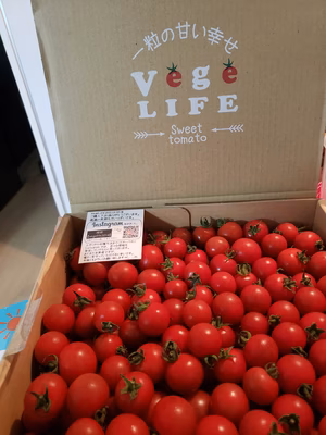 みんなの投稿の画像