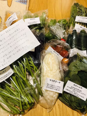 みんなの投稿の画像