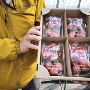 いちご4Pセット　おまかせ2品種以上（最大4品種）