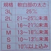 ✨【太さ３cm】とろ～り甘い✨【極太夏ネギ】１５本