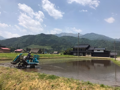 みんなの投稿の画像