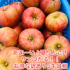訳あり5キロ箱サンつがる！　あまーい夏りんご！！