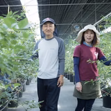 加藤弘一 | IRAGOブルーベリー