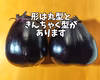 香川の伝統野菜『三豊なす』入り！とろける茄子＆オクラのセット
