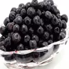 アロニア冷凍果実（ｱﾝﾄｼｱﾆﾝ豊富♪）令和元年新潟県産