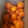 福袋2022　紅みかん　！　レア？珍品？激安？　大きめ