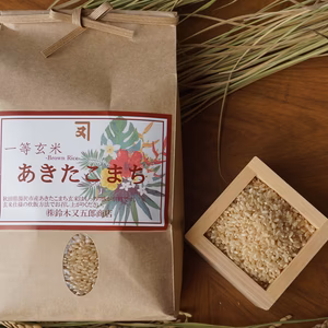【令7年産】 あきたこまち厳選一等 玄米 30kg