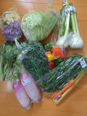 みんなの投稿の画像