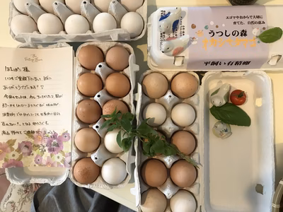 みんなの投稿の画像