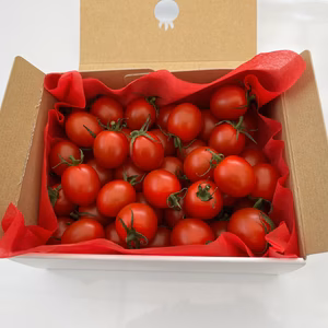 【贈答用】トマト好きが、恋をする。　700ｇ　金赤トマト　ﾐﾆﾄﾏﾄ[全国ミニト