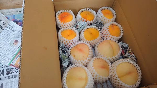 数量限定！麻績村産【白桃+黄桃】セット約2.5kg