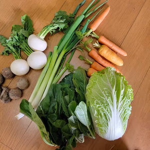 京都美山！旬の京野菜セット！80サイズ(6品目)