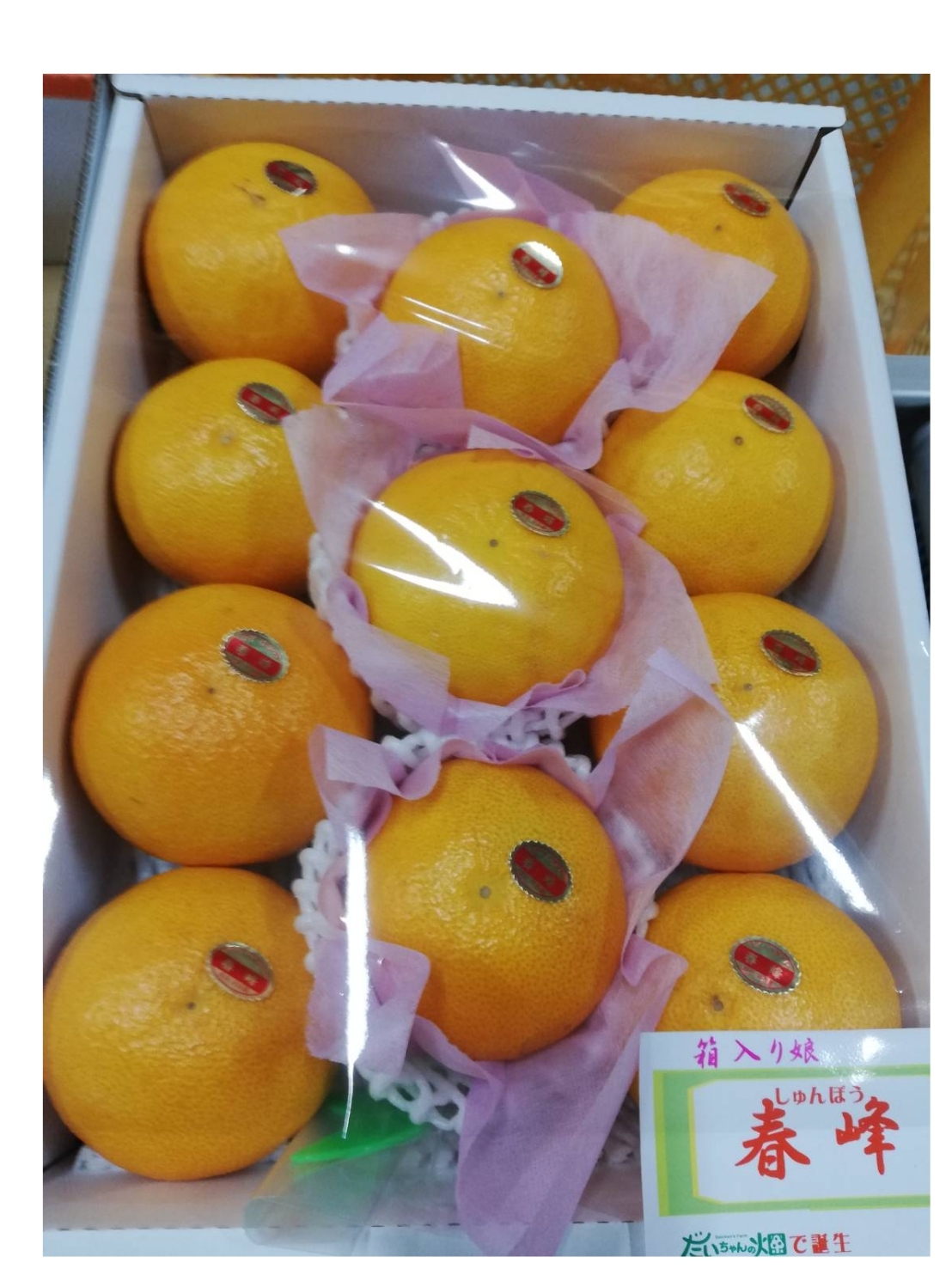 贈答品]3 月〜[女性人気]プチプチ果肉とスッキリした甘味 (春峰) 11玉入り2Lサイズ か 12玉(Lサイズ