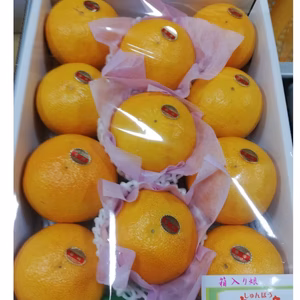 【女性人気】プチプチ果肉とスッキリした甘味 (春峰)