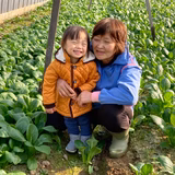 伊藤健造 | はちしろ農園