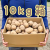 ☆北海道、沖縄等の離島専用☆娘に食べさせたい自然栽培ジャガイモ〈男爵〉