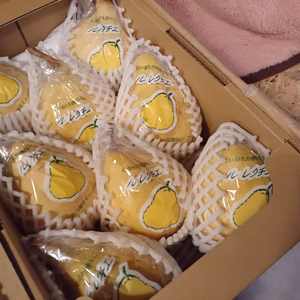 R5 B-S2『自家用』中玉ルレクチエ2kg(８玉)