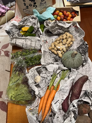 みんなの投稿の画像