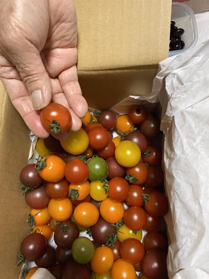 みんなの投稿の画像