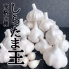 【1日20箱売れてる❗️】本場✨青森県産ミネラルにんにくたっぷり1キロ