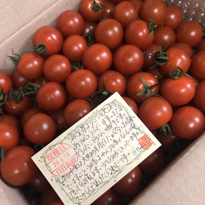 みんなの投稿の画像