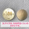 銀杏の王様　【藤九郎】大玉3Lサイズ　500g