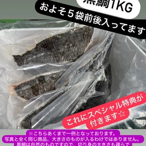【冷凍】黒鯛　1kg  ☆スペシャル特典付き☆