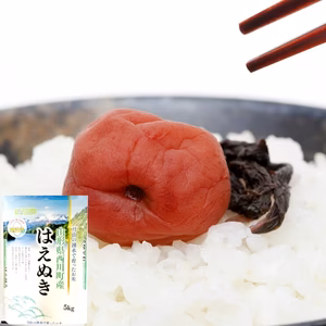 おいしいはえぬき5kg 特A米 1等米 無洗米 令和6年山形産