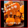 歳末セール✩本気みかん✩まるで魔法？！ 有田みかん（家庭用）12月 早生みかん