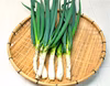 農薬不使用（無農薬）栽培の白ねぎ