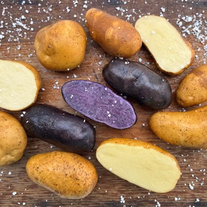 低温熟成ジャガイモ４種／肥料・農薬不使用