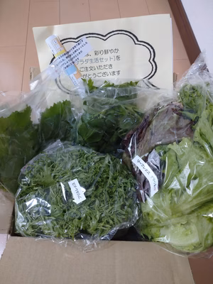 みんなの投稿の画像