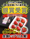 【全国いちご選手権銀賞受賞！】《家庭用》樹上完熟美作苺4P詰合せ(約1080g)