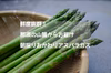 【収穫当日発送/鮮度抜群！】那須の麓からお届け 朝採り おかわりアスパラガス
