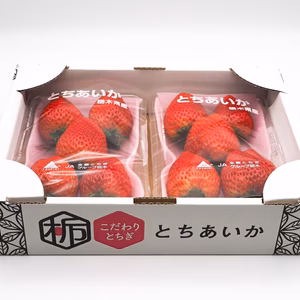 いちご王国新品種【とちあいか】平パック