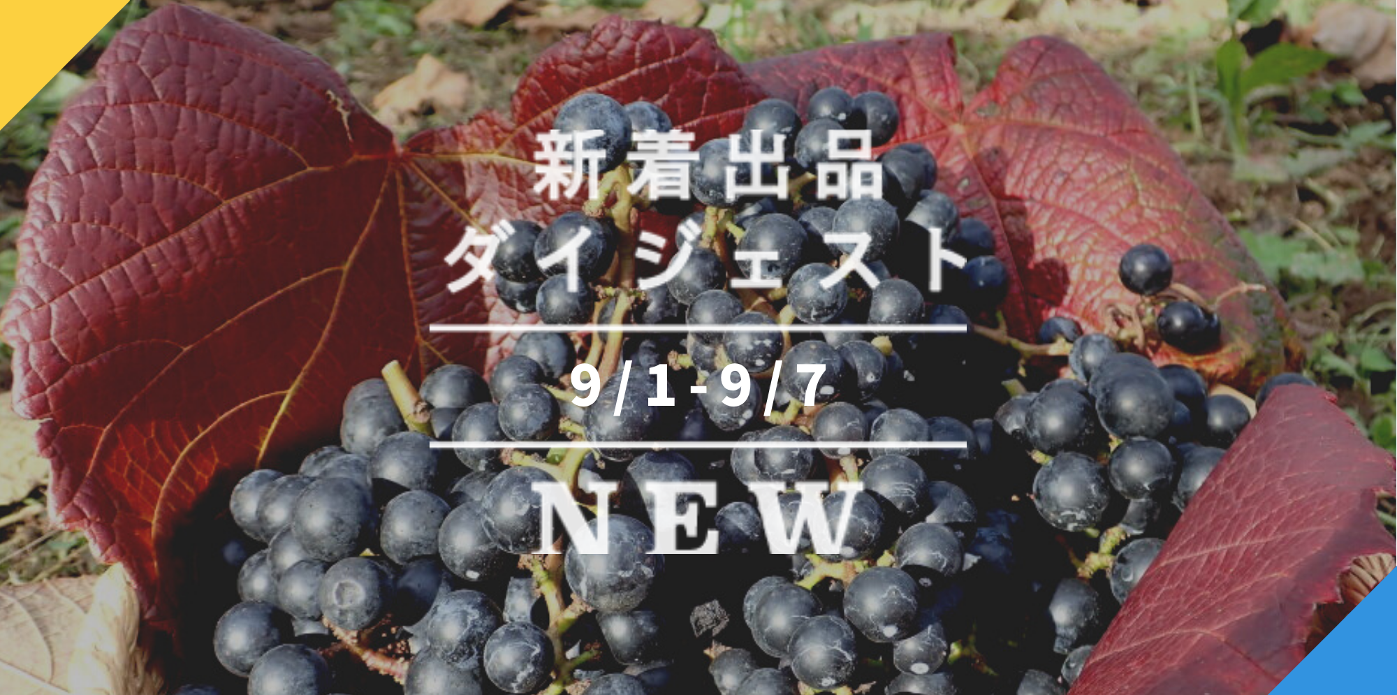 バックナンバー ぶどう真っ盛りだよ とびっきりのアスパラ ベーコンにも注目 今週のおすすめ新着出品 21年9月10日編