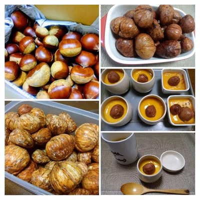 みんなの投稿の画像