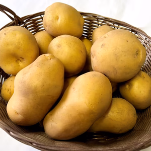 新ジャガ3種　食べ比べセット各600g 無農薬栽培