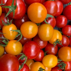 カラフルミニトマト　1キロ